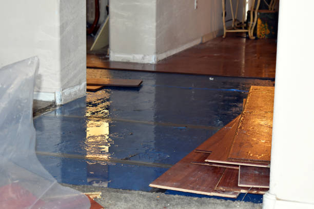 Professional Burst Pipe Cleanup technician working in Lake, MS